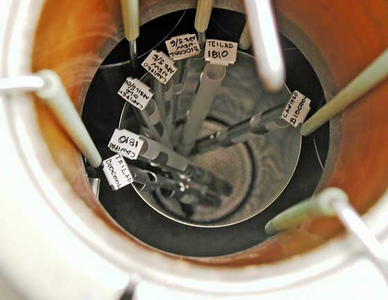 液氮凍存 液氮凍存