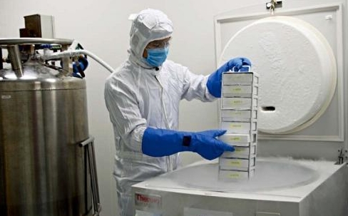 液氮罐應(yīng)用 液氮罐應(yīng)用